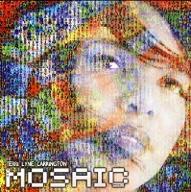 The Mosaic project