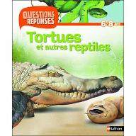 Tortues et autres reptiles