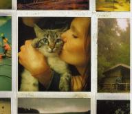 My friends all died in a plane crash