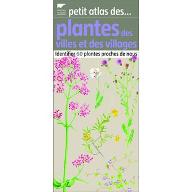 Petit atlas des ... plantes des villes et des villages : Identifier 60 plantes proches de chez nous