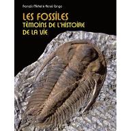 Les  fossiles, témoins de l'histoire de la vie