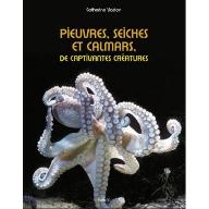 Pieuvres, seiches et calmars, de captivantes créatures