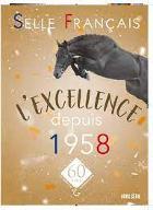 La  vie d'un cheval de course : Une vie de crack