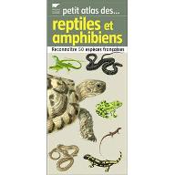 Reptiles et amphibiens : Reconnaître 50 espèces françaises