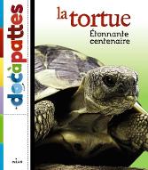 La  tortue : étonnante centenaire