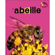 L' abeille ; Choi Jae-cheon, conseiller scientifique