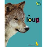 Le  loup