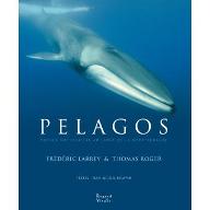 Pelagos : Voyage naturaliste au large de la méditerranée