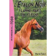 Flamme part en flèche