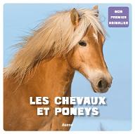 Les  chevaux et poneys