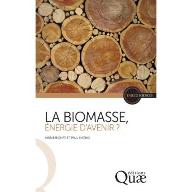 La  biomasse, énergie d'avenir ?