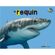 Le  requin
