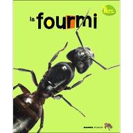 La  fourmi